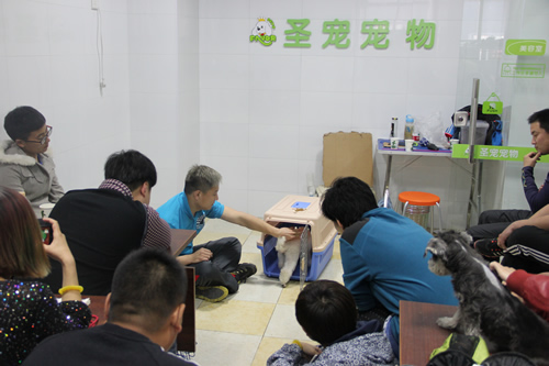 航空箱訓(xùn)練