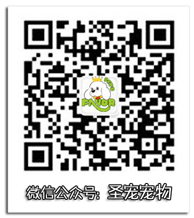 圣寵寵物官方微信