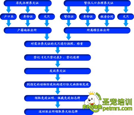 手續流程