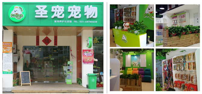 創業開寵物店