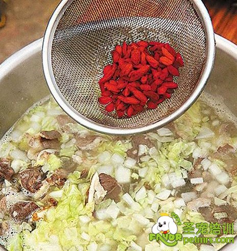 藥膳羊肉湯