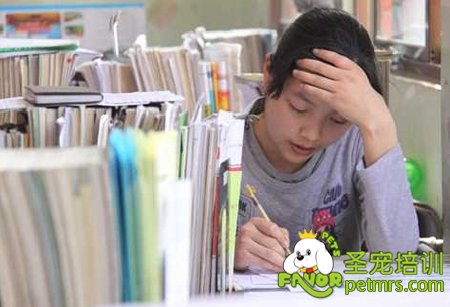 不想讀書