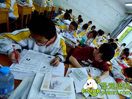 高考學子正在拼命讀書
