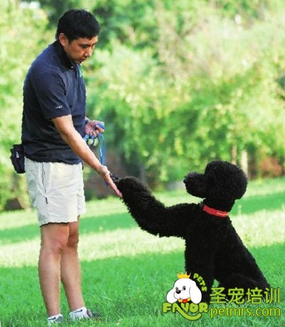 與狗狗溝通