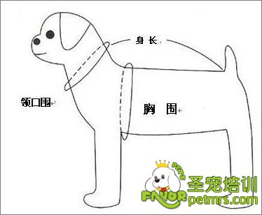 寵物狗三圍