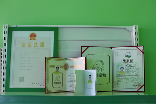 圣寵學(xué)員結(jié)業(yè)證書及營業(yè)執(zhí)照