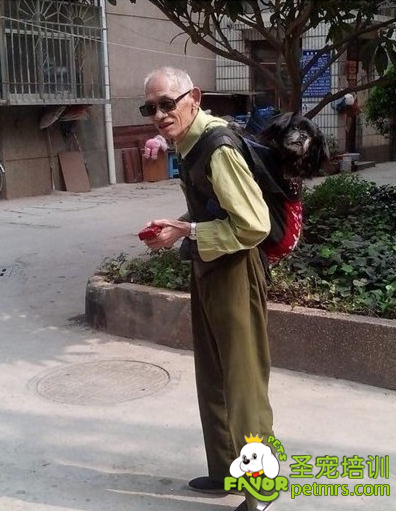 背著狗狗走街串巷