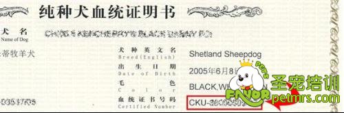狗狗血統證書