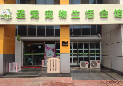 圣寵寵物天津河西區(qū)寵物店