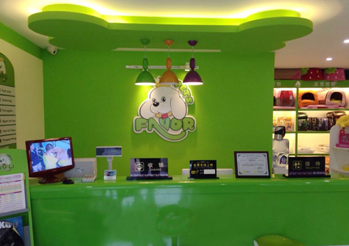 圣寵寵物天津河西區(qū)寵物店