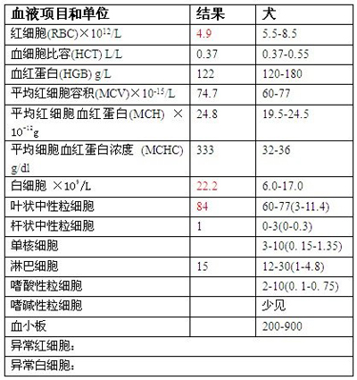 血常規(guī)檢查：