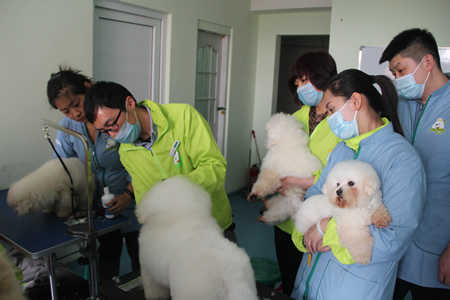 李老師指導學員修剪手法