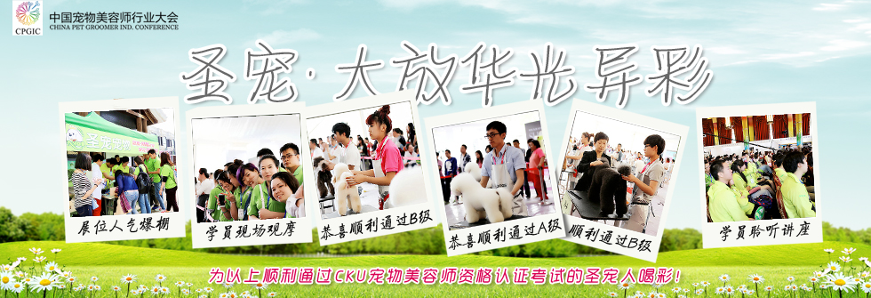 寵物美容培訓專區(qū)