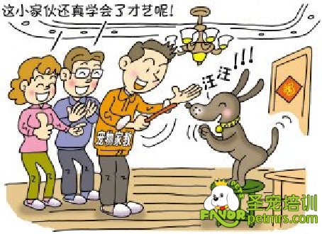 寵物家教