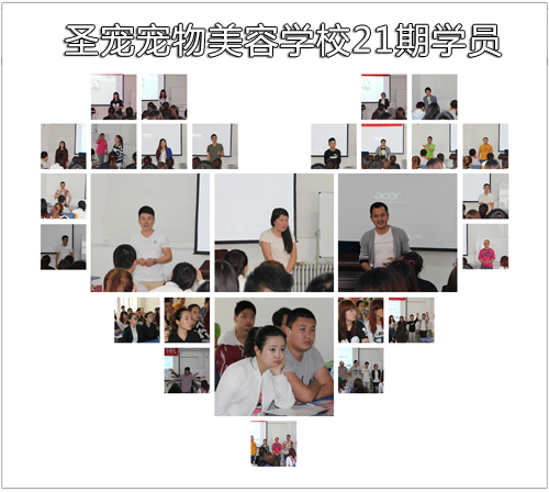 圣寵寵物21期學(xué)員