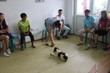 圣寵23期學(xué)員訓(xùn)犬實操課程