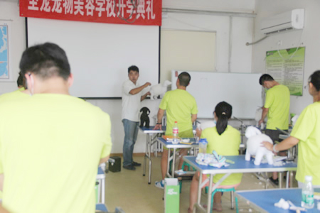 圣寵寵物美容學校26期:假毛修剪練習
