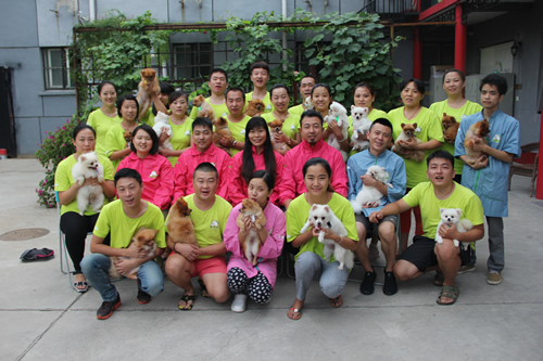 圣寵寵物美容學校26期博美犬修剪實操課