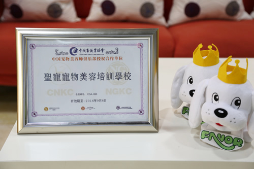 寵物美容師需要具備哪些