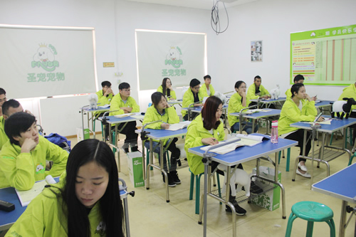 圣寵寵物28期學員剪刀練習課程