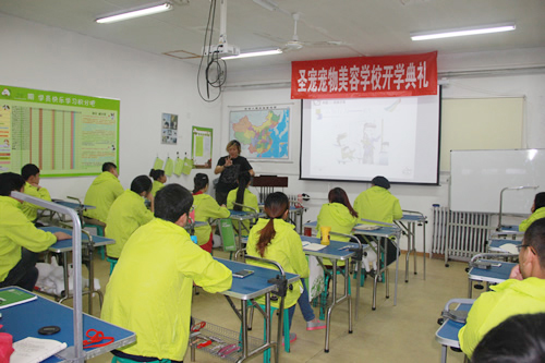 圣寵寵物28期班犬只行為學課程