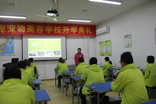 圣寵寵物31期寵物美容綜合班開學(xué)典禮