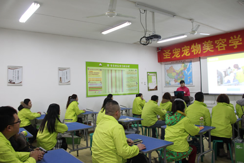 圣寵寵物33期寵物美容班開學典禮