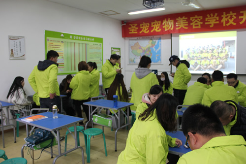 圣寵寵物33期寵物美容班開學典禮