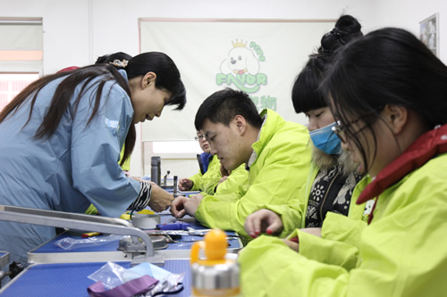 圣寵寵物32期寵物美容綜合班飾品DIY課