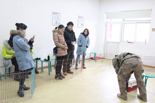 33期訓(xùn)犬課之犬主動(dòng)進(jìn)航空箱訓(xùn)練