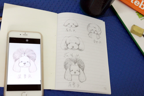 圣寵寵物34期班泰迪犬理論和示范