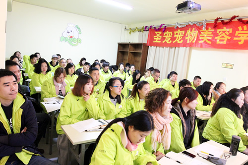 35期美容班犬只骨骼及犬種介紹