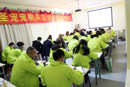 美容班35期2班犬只行為學課,授課導師任凱