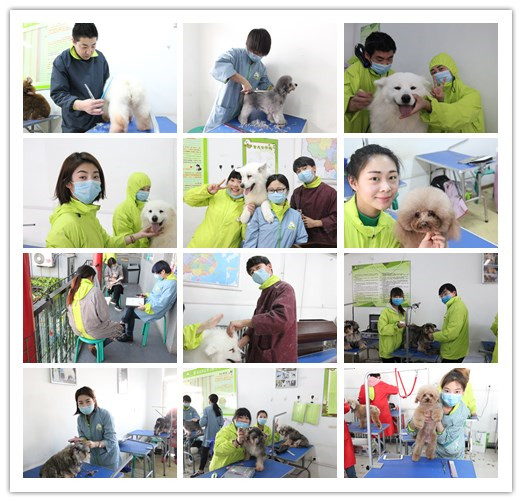 恭賀圣寵美容班34期學員們順利畢業