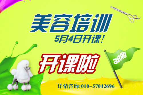 學寵物美容送美容工具+企業公仔+免住宿
