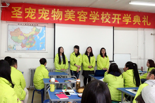 圣寵寵物美容學(xué)校36期學(xué)員