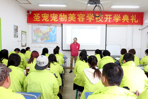 圣寵寵物美容學(xué)校寵物美容老師惠強(qiáng)
