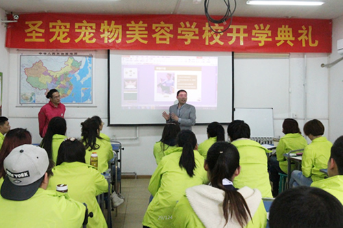 圣寵寵物美容學(xué)校董事長(zhǎng)