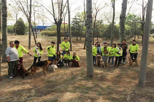 圣寵寵物學校34期訓犬班戶外訓練