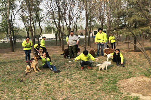 圣寵寵物學校34期訓犬班戶外訓練