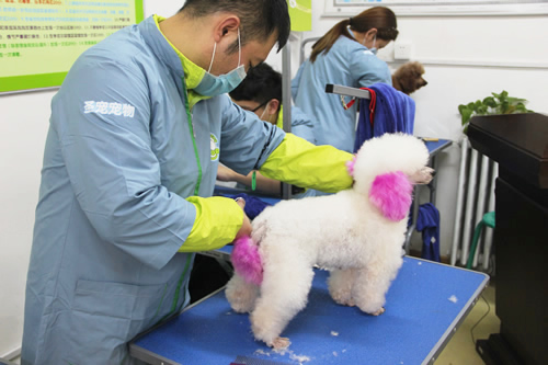 男孩學什么技術好就業