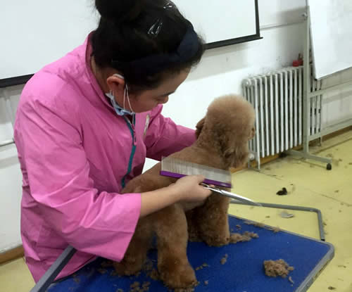 高中畢業(yè)學(xué)什么比較有前途