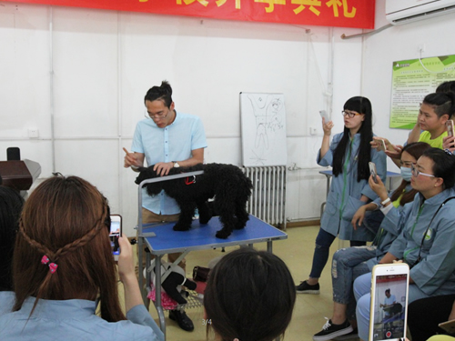 39期美容班貴賓犬洗澡