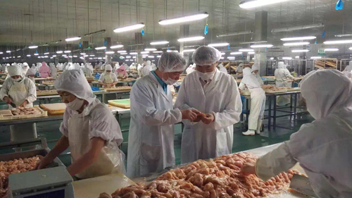 圣寵董事長考察路斯生產基地