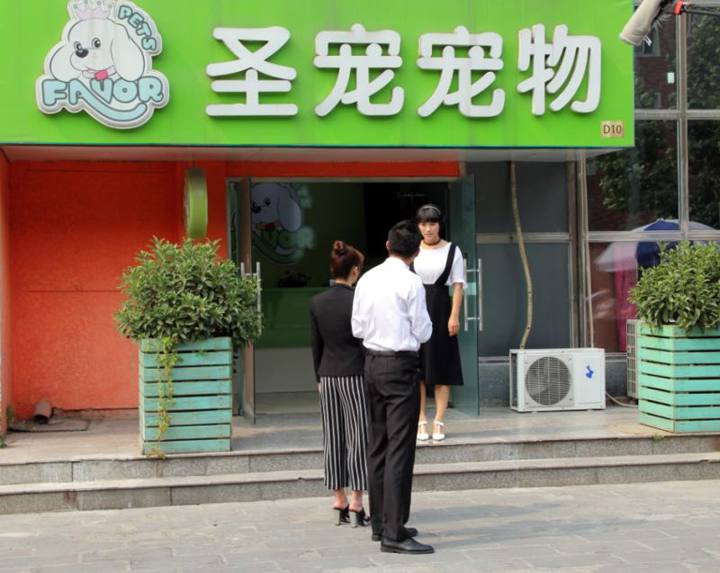 boss當不起拍攝地點圣寵寵物美容學校