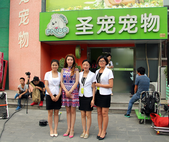 boss當不起拍攝地點圣寵寵物美容學校