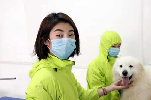 學寵物美容師去哪個學校好