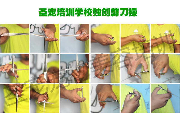 恭喜圣寵綜合美容41期班進入圣寵大家庭
