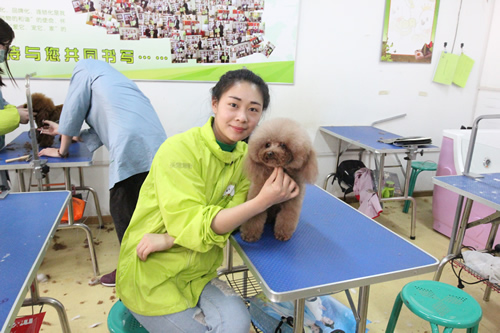 寵物美容師職業技術學校哪里好