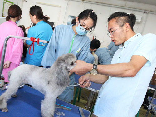 惠強老師指導學員正確的修剪方法